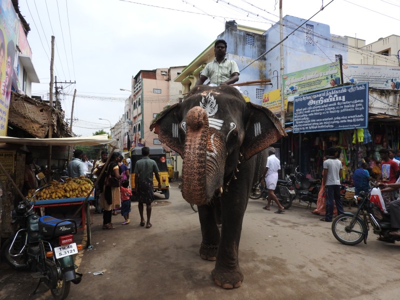 28 SRIRANGAM Ranganathaswami  Temple